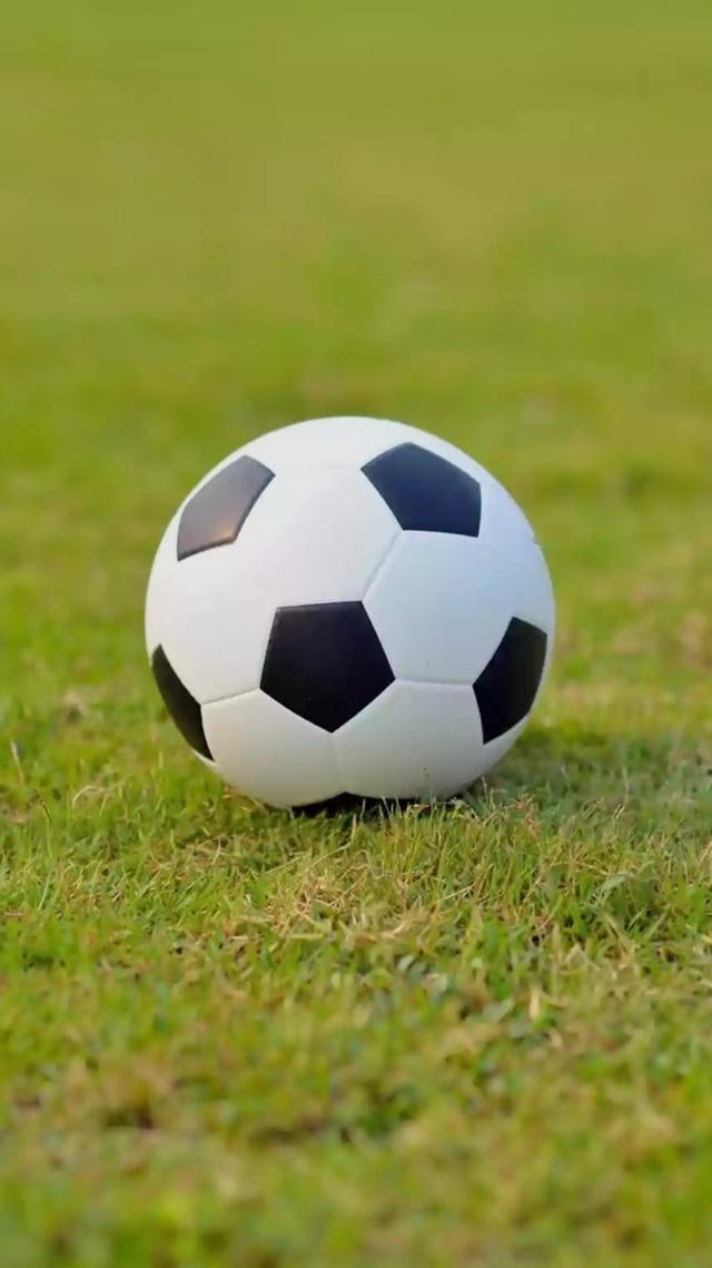 足球竞彩预测分析平台界面展示